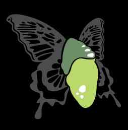Cocoonfxmedia Ltd