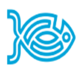 Codify