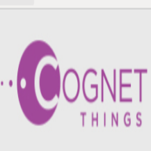 Cognetthings Technologies