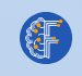 Cognifirst