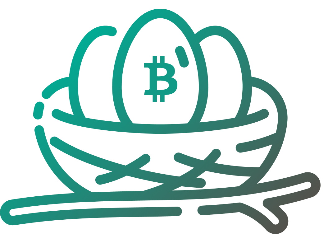 Coin Nest Investment