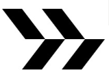 Conifer