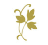 Coppergreen Leisure Resorts