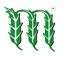 Corn Club