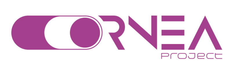 Cornea