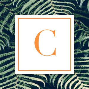 Cosme Hunt
