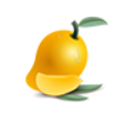 Courtallam Mangoes