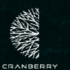 Cranberry Analytics