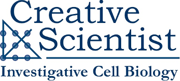Creative Scientist