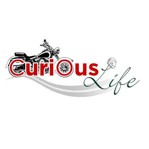 Curious Life