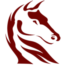 Darkhorse Emergency