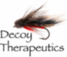 Decoy