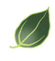 Deepforest Technologies