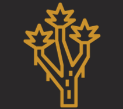 Desert Legacy Capital