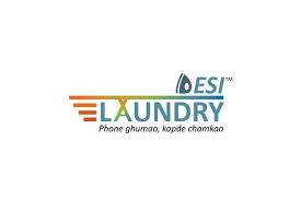 Desi Laundry