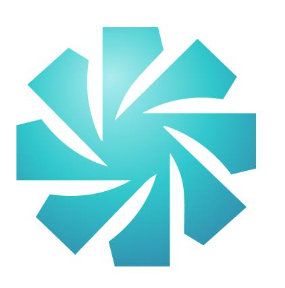 Ibricks
