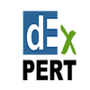 Dexpert Systems