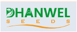 Dhanwel Seeds
