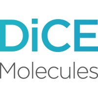 Dice