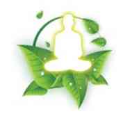 Divya Pharmacy Shop