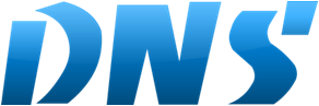 Dns Erp