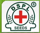Doctor Seeds
