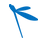 Dragonfly Insulation