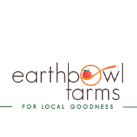 Earthbowl