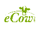 Ecow