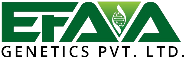 Efaa Genetics