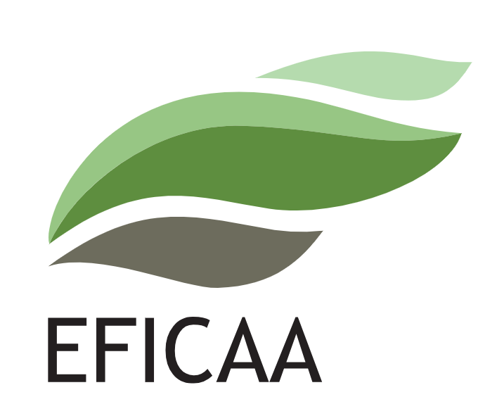 Eficaa