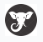 Elephas