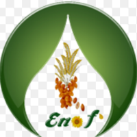 Elite Natural Oils & Fuels