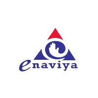 Enaviya Information Technologies