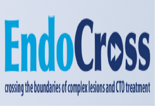 Endocross