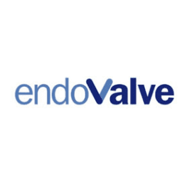 Endovalve