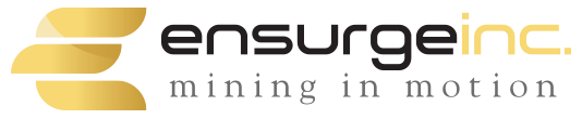 Ensurge