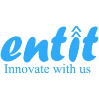 Entit Consultancy Services