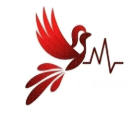 Erica Healthcare