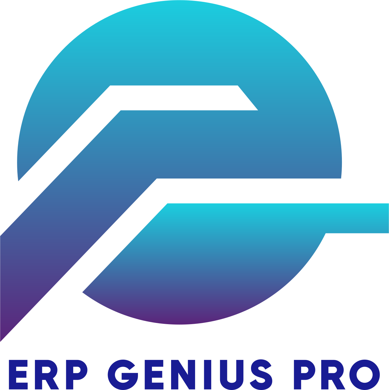 Erp Genius Pro