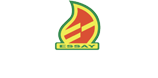 Essay Petroleum
