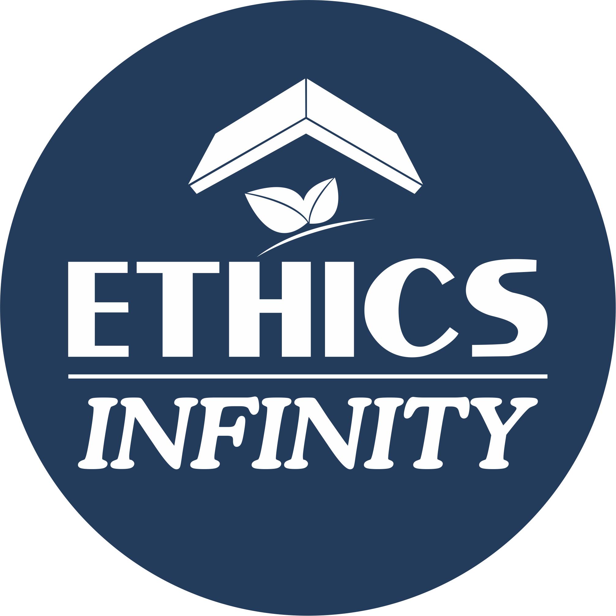 Ethicsinfinity