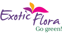 Exotic Flora