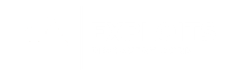 Exploits Discovery