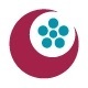 Express Solicitors