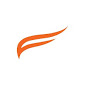 Falcon Ebiz