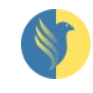 Falcon Informatics