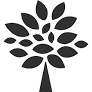 Fig Venture Partners