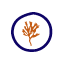 Flexsea