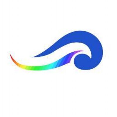 Flowmetric